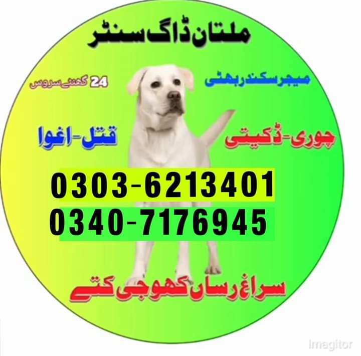 army dog center mandibahauddin 03036213401