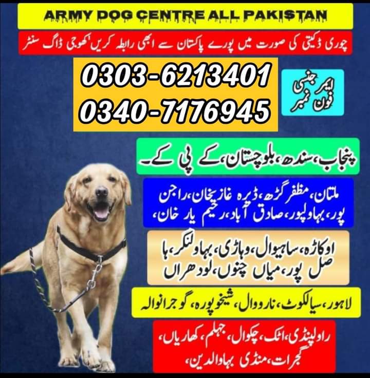 army dog center sargodha 03036213401